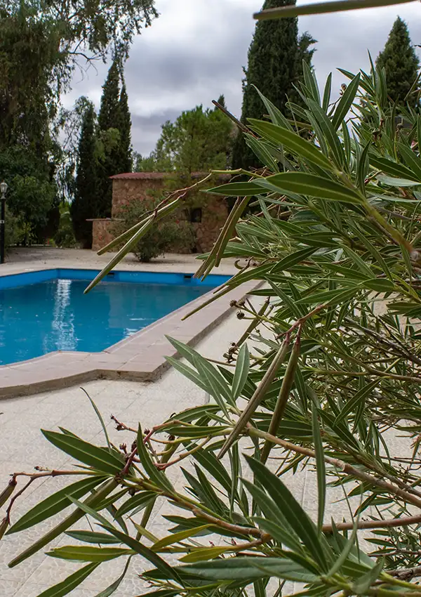pool