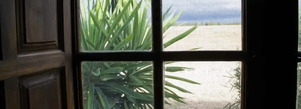 window