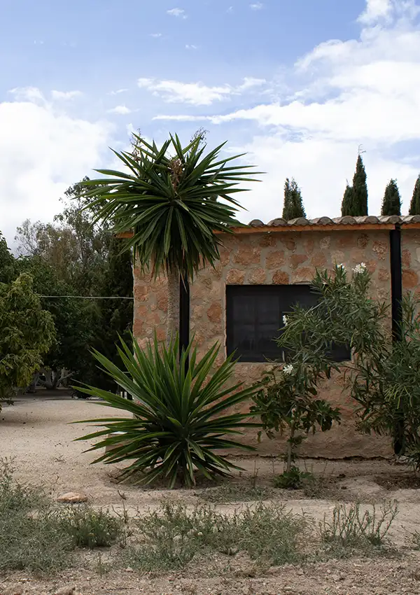 house-facade