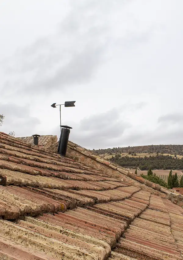 roof-view