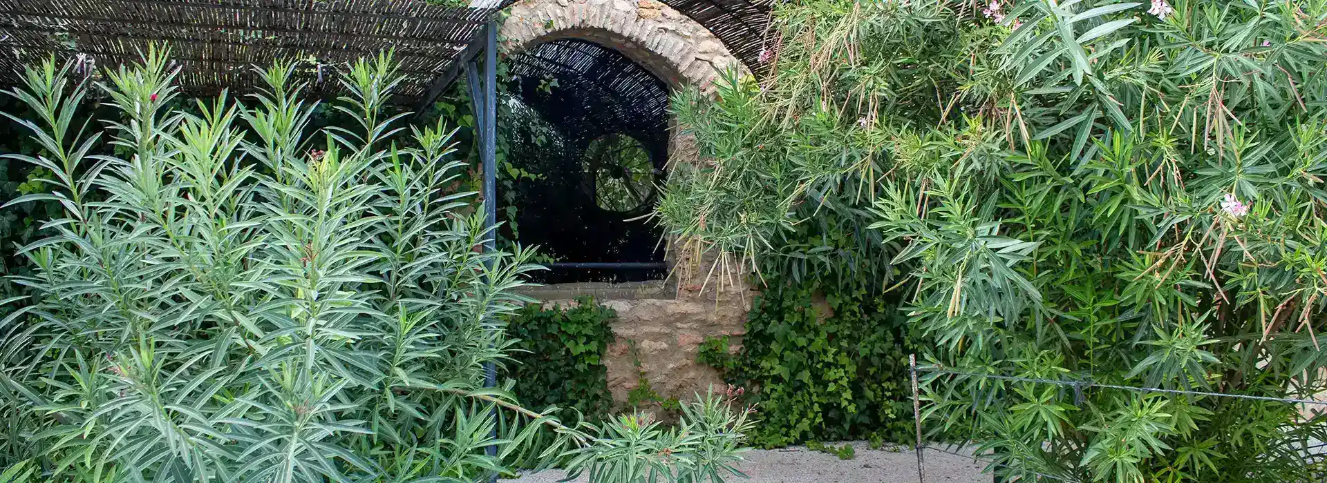 window