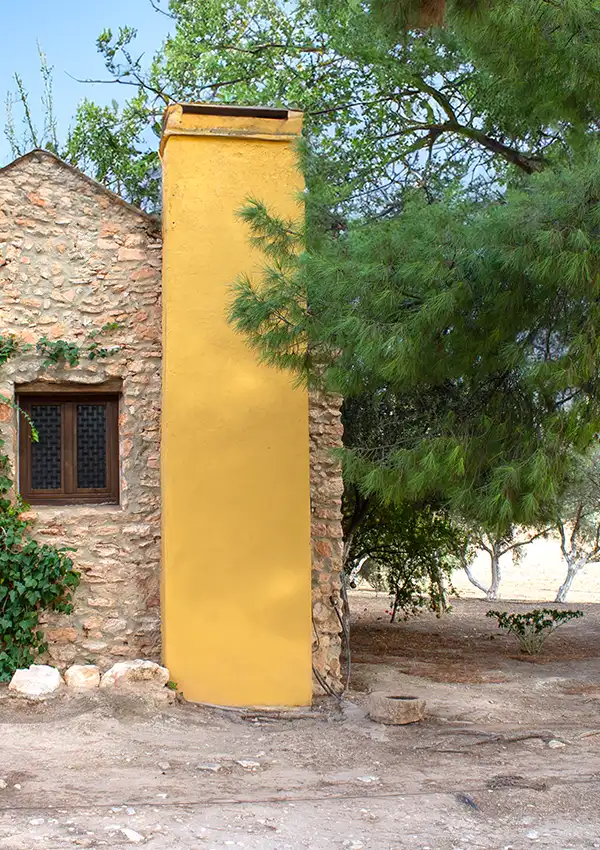 backyard-house