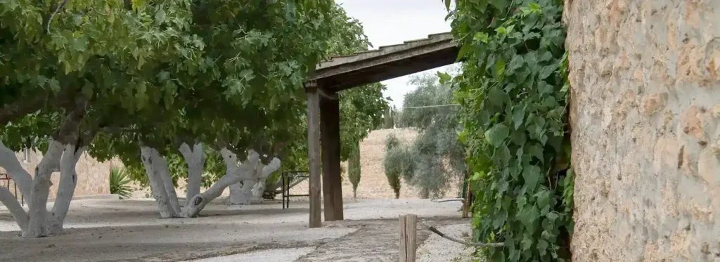 entrance