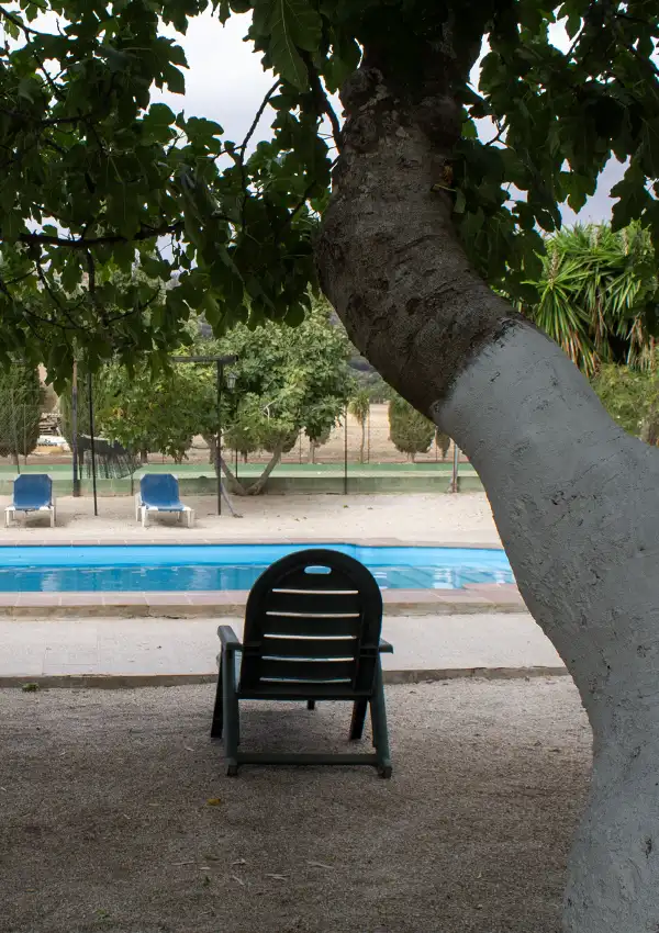 pool-view