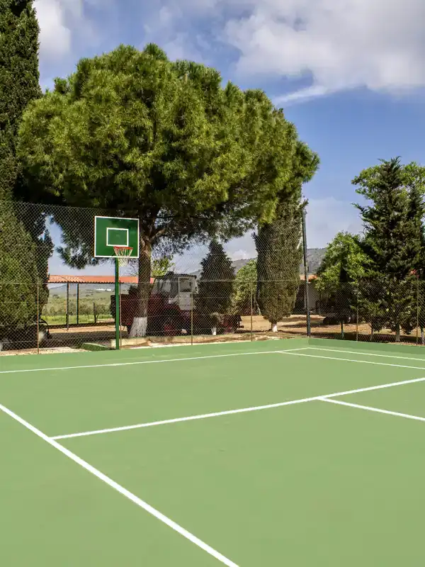basketball